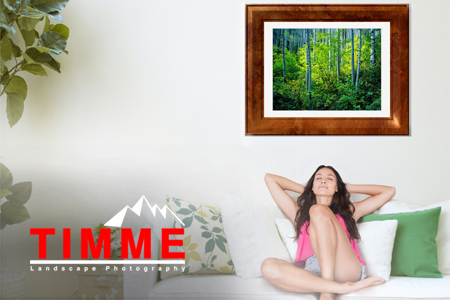 Timme Landscape Photography | NNC Infotech Portfolio